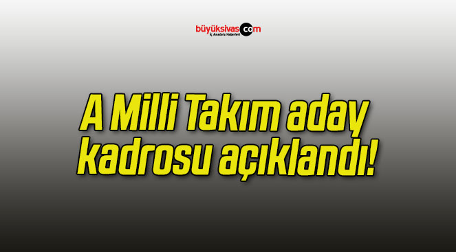 A Milli Takım aday kadrosu açıklandı!