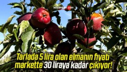 Tarlada 5 lira olan elmanın fiyatı markette 30 liraya kadar çıkıyor!