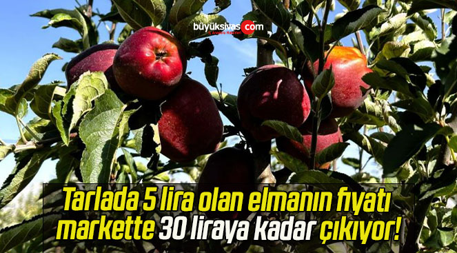 Tarlada 5 lira olan elmanın fiyatı markette 30 liraya kadar çıkıyor!