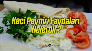 Keçi Peyniri Faydaları Nelerdir?