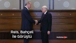 Cumhurbaşkanı Erdoğan, Bahçeli ile görüştü