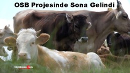 Şarkışla Tarıma Dayalı İhtisas OSB Projesinde Sona Gelindi