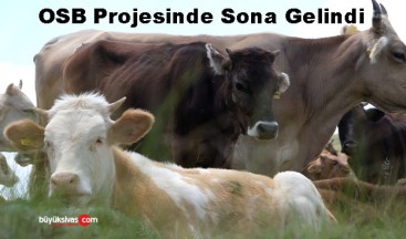 Şarkışla Tarıma Dayalı İhtisas OSB Projesinde Sona Gelindi