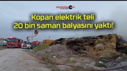 Kopan elektrik teli 20 bin saman balyasını yaktı!