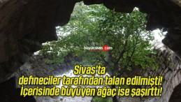 Sivas’ta defineciler tarafından talan edilmişti! İçerisinde büyüyen ağaç ise şaşırttı!