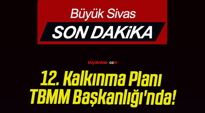 12. Kalkınma Planı TBMM Başkanlığı’nda!