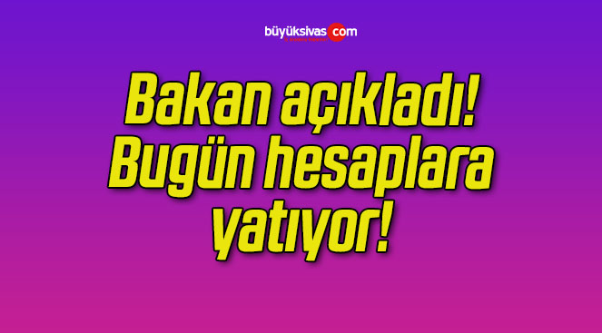 Bakan açıkladı! Bugün hesaplara yatıyor!