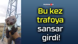 Bu kez trafoya sansar girdi!