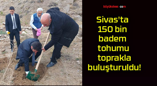 Sivas’ta 150 bin badem tohumu toprakla buluşturuldu!