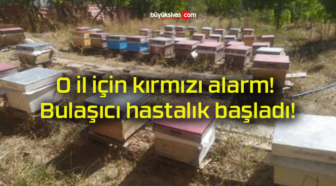 O il için kırmızı alarm! Bulaşıcı hastalık başladı!