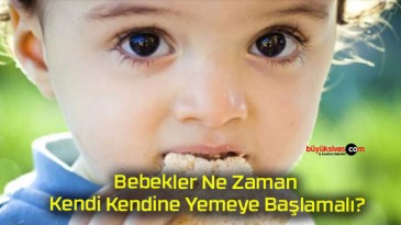 Bebekler Ne Zaman Kendi Kendine Yemeye Başlamalı?