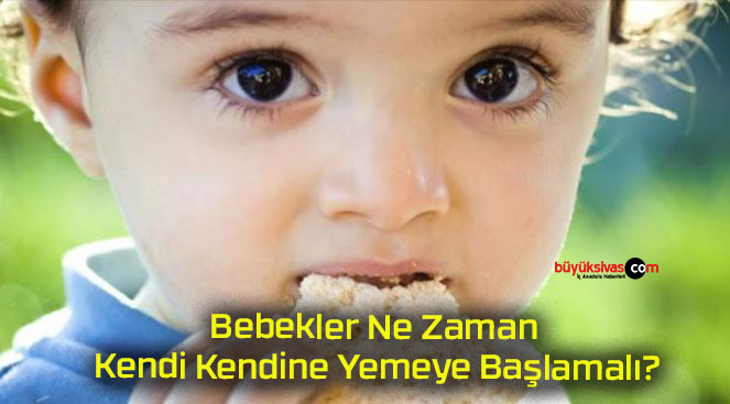 Bebekler Ne Zaman Kendi Kendine Yemeye Başlamalı?