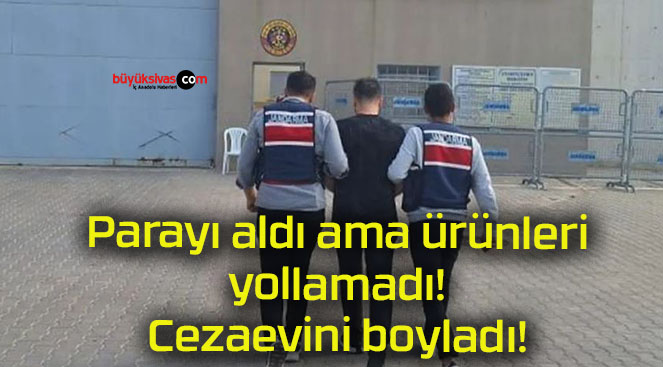 Parayı aldı ama ürünleri yollamadı! Cezaevini boyladı!