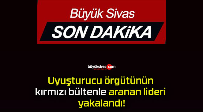 Uyuşturucu örgütünün kırmızı bültenle aranan lideri yakalandı!