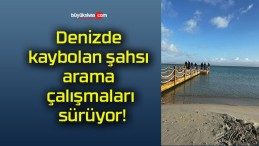 Denizde kaybolan şahsı arama çalışmaları sürüyor!