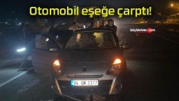 Otomobil eşeğe çarptı!