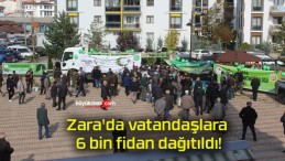 Zara’da vatandaşlara 6 bin fidan dağıtıldı!