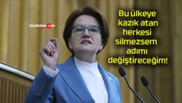 Bu ülkeye kazık atan herkesi silmezsem adımı değiştireceğim!