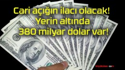 Cari açığın ilacı olacak! Yerin altında 380 milyar dolar var!