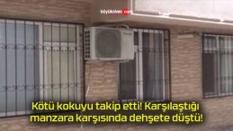 Kötü kokuyu takip etti! Karşılaştığı manzara karşısında dehşete düştü!