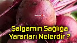 Şalgamın Sağlığa Yararları Nelerdir ?