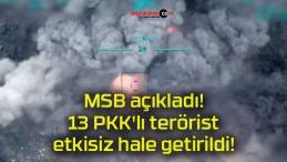 MSB açıkladı! 13 PKK’lı terörist etkisiz hale getirildi!