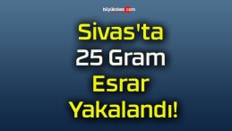 Sivas’ta 25 Gram Esrar Yakalandı!