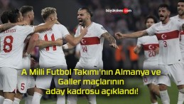 A Milli Futbol Takımı’nın Almanya ve Galler maçlarının aday kadrosu açıklandı!