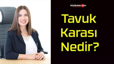 Tavuk Karası Nedir?