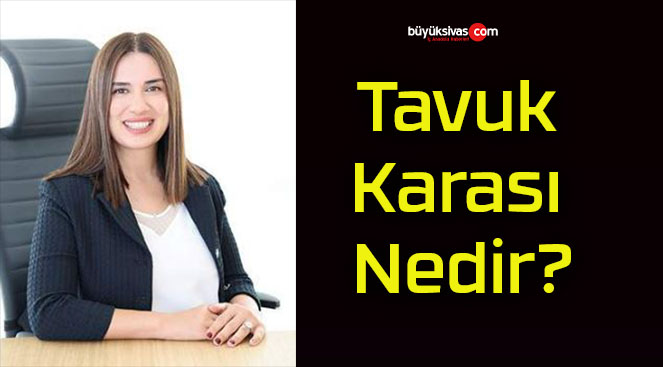 Tavuk Karası Nedir?