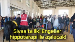 Sivas’ta ilk! Engeller hippoterapi ile aşılacak!