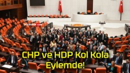 CHP ve HDP Kol Kola Eylemde!