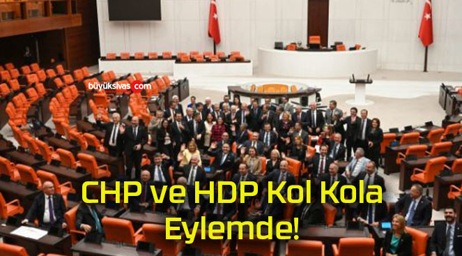 CHP ve HDP Kol Kola Eylemde!