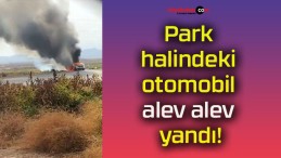 Park halindeki otomobil alev alev yandı!