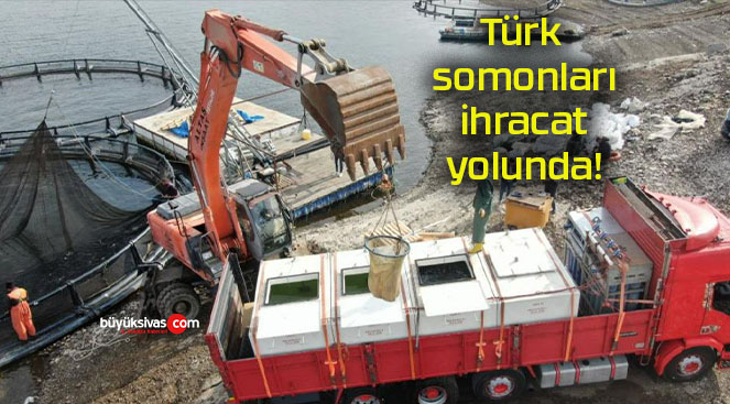 Türk somonları ihracat yolunda!