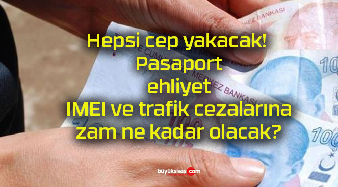 Hepsi cep yakacak! Pasaport, ehliyet, IMEI ve trafik cezalarına zam ne kadar olacak?