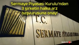 Sermaye Piyasası Kurulu’ndan 3 şirketin halka arz başvurusuna onay!