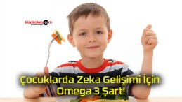 Çocuklarda Zeka Gelişimi İçin Omega 3 Şart!