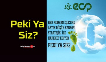 Her Modern İşletme Artık Düşük Karbon Stratejisi İle Hareket Ediyor! Peki Ya Siz?