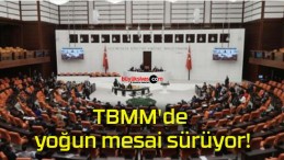 TBMM’de yoğun mesai sürüyor!