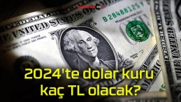 2024’te dolar kuru kaç TL olacak?