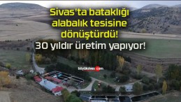 Sivas’ta bataklığı alabalık tesisine dönüştürdü! 30 yıldır üretim yapıyor!