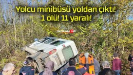 Yolcu minibüsü yoldan çıktı! 1 ölü! 11 yaralı!