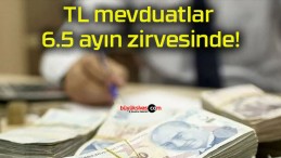 TL mevduatlar 6.5 ayın zirvesinde!