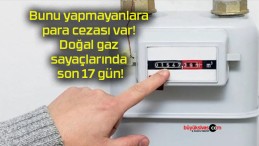 Bunu yapmayanlara para cezası var! Doğal gaz sayaçlarında son 17 gün!