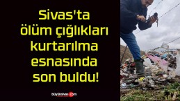 Sivas’ta ölüm çığlıkları kurtarılma esnasında son buldu!