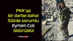 PKK’ya bir darbe daha! Sözde sorumlu Eymen Coli öldürüldü!