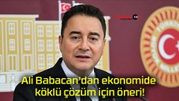 Ali Babacan’dan ekonomide köklü çözüm için öneri!