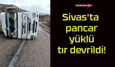 Sivas’ta pancar yüklü tır devrildi!