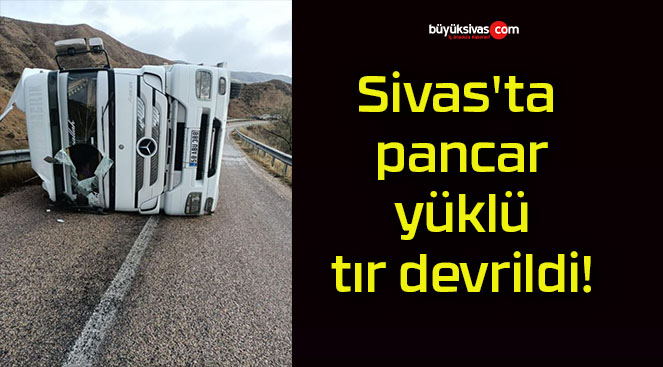 Sivas’ta pancar yüklü tır devrildi!